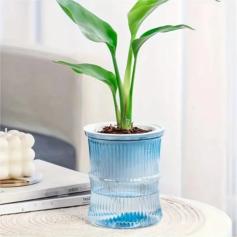 AquaBloom™ Self-Watering Planter | Transparent Double-Layer Smart Plant Pot