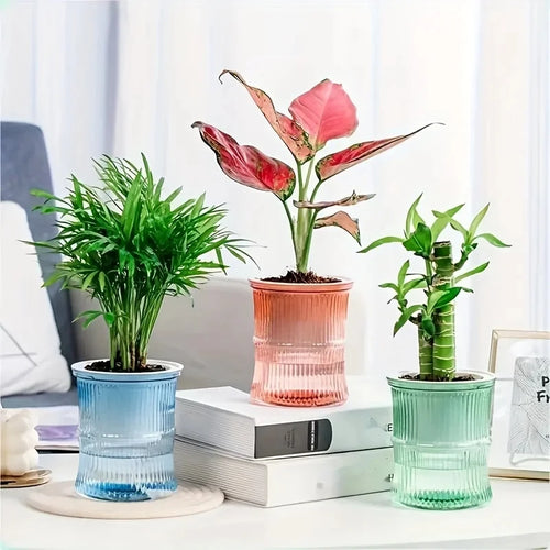 AquaBloom™ Self-Watering Planter | Transparent Double-Layer Smart Plant Pot