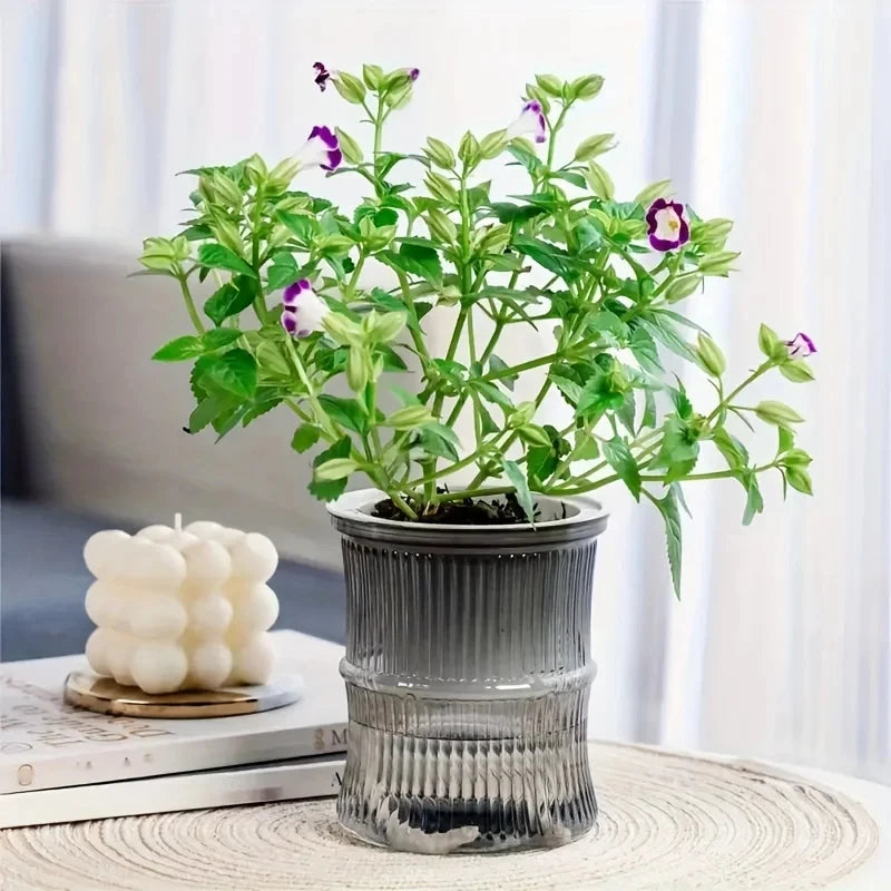 AquaBloom™ Self-Watering Planter | Transparent Double-Layer Smart Plant Pot