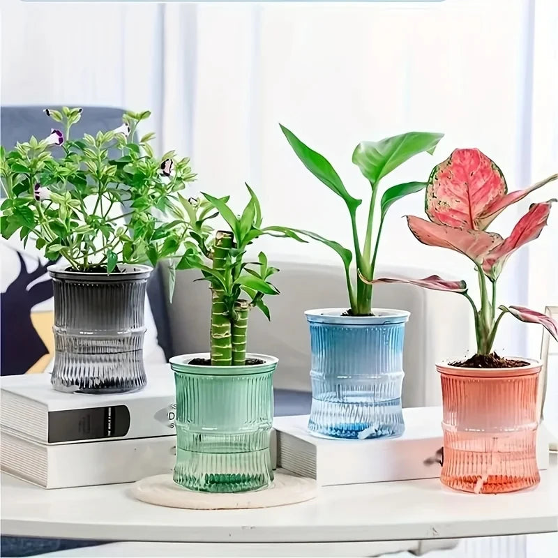 AquaBloom™ Self-Watering Planter | Transparent Double-Layer Smart Plant Pot
