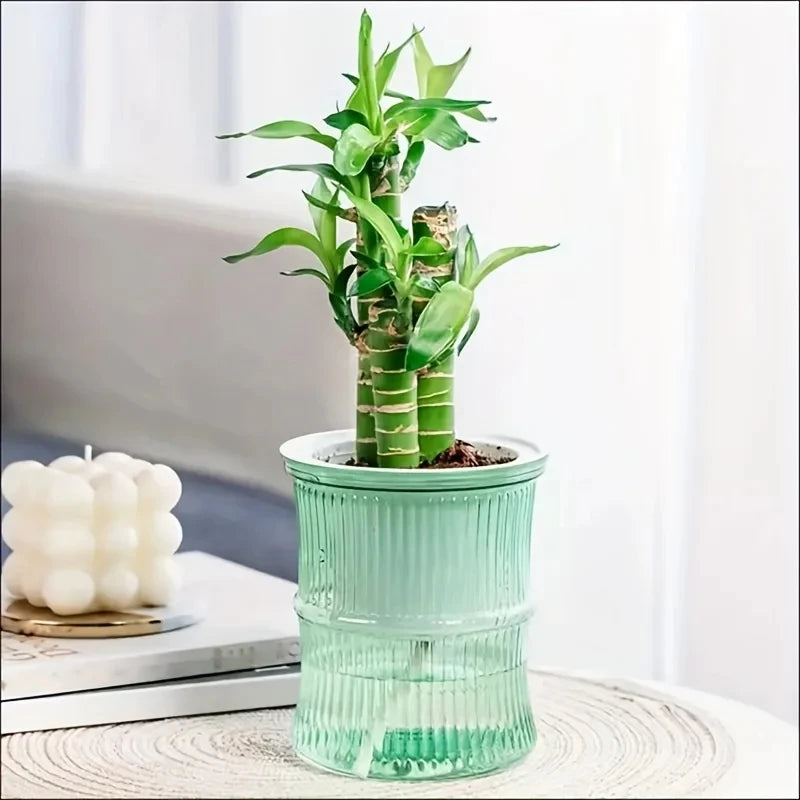 AquaBloom™ Self-Watering Planter | Transparent Double-Layer Smart Plant Pot