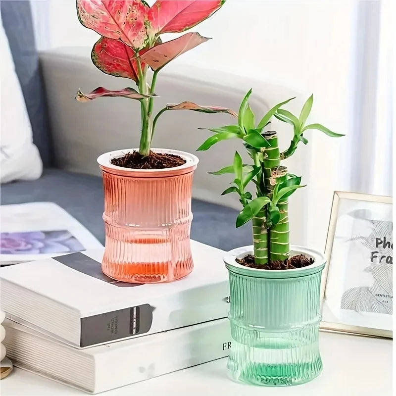 AquaBloom™ Self-Watering Planter | Transparent Double-Layer Smart Plant Pot